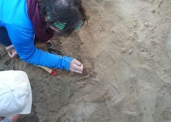 Hallado el cuerpo de un bebé a cinco metros del esqueleto de Cornelia