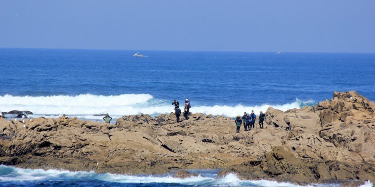 El fiscal pide dos años de prisión para tres vigilantes de la Cofradía de Baiona