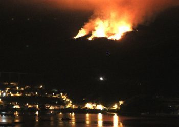 Incendio forestal de grandes proporciones en Domaio