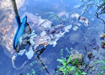 Denuncian a aparición dunha bolsa con cans afogados no río Tea