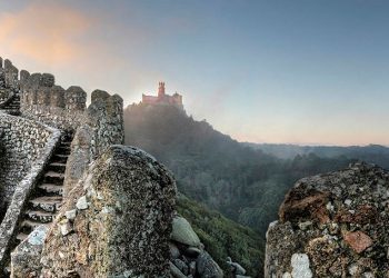 Vive la magia de un mundo encantado