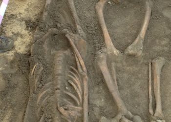 A Lanzada revela un sétimo bebé e dous adolescentes