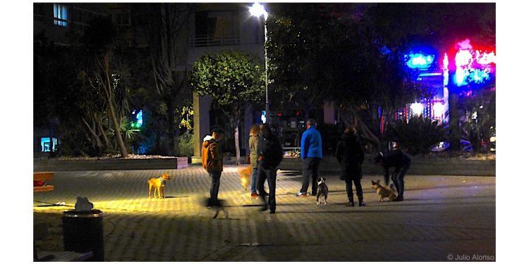Paseando al perro