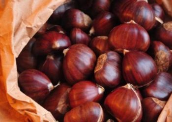 Delicias de castaña