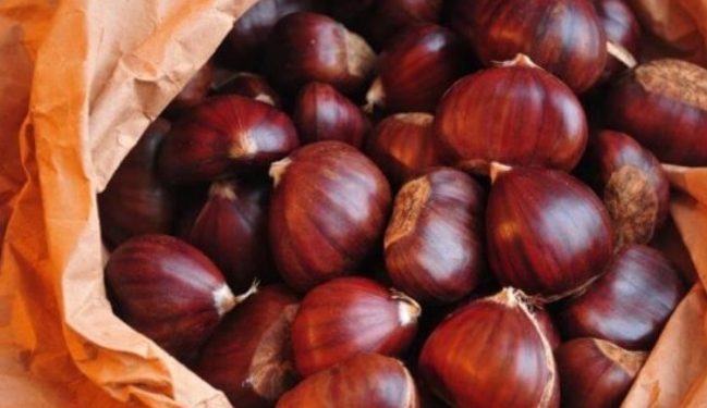 Delicias de castaña