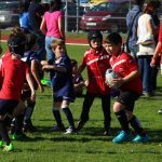 rugby escuelas 15 Copy