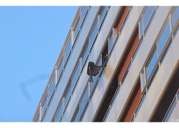 Sacudiendo las alfombras