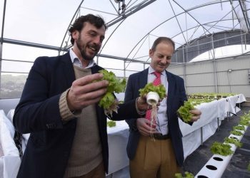 Cultivos que medran en solución acuosa dende Nigrán para o mundo