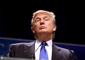 Los morritos de Trump