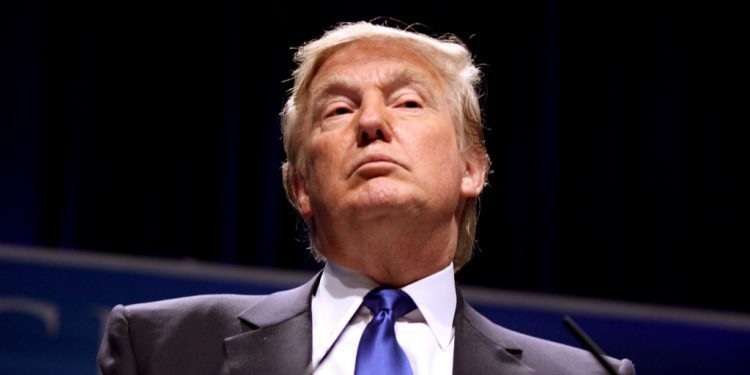 Los morritos de Trump