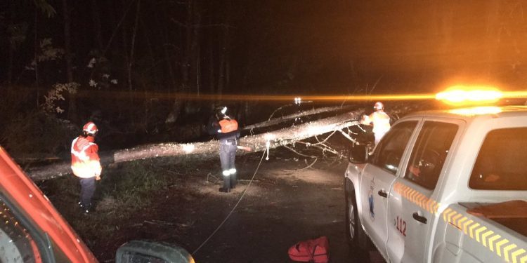 Ocho heridos en Galicia, cuatro en Mos, O Rosal y Ponteareas, por el temporal