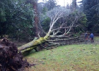 Os danos polo temporal obrigan a pechar o Castelo de Soutomaior