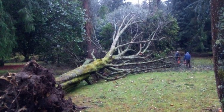 Os danos polo temporal obrigan a pechar o Castelo de Soutomaior