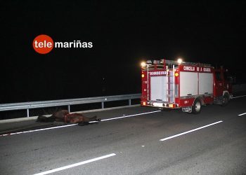 Tres conductores heridos y cuatro caballos muertos en tres accidentes en O Rosal