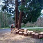 Castelo Soutomaior temporal_02