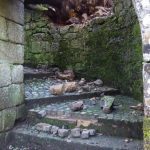 Castelo Soutomaior temporal_05