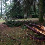 Castelo Soutomaior temporal_08