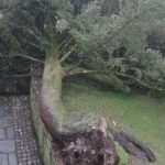 Castelo Soutomaior temporal_09