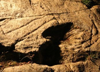 O petróglifo de Auga dos Cebros, único en Europa, revive a base de crowdfunding