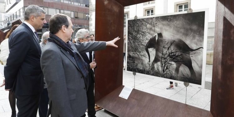Sebastiao Salgado convierte Vigo en un museo a cielo abierto para admirar la Tierra