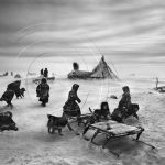 cuando-el-invierno-es-especialmente-crudo-los-nenets-y-sus-renos-pueden-pasar-varios-dias-en-el-mismo-lugar-al-norte-del-ri