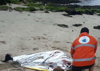 Aparece un delfín varado en la playa de la ETEA