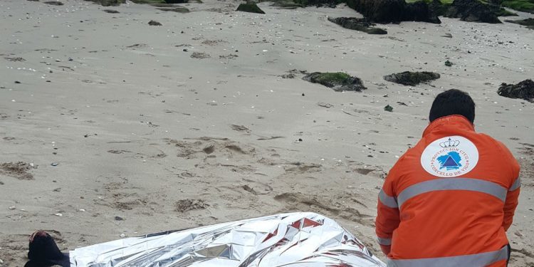 Aparece un delfín varado en la playa de la ETEA