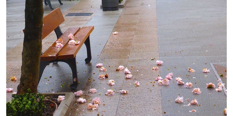 Ya asoma la primavera
