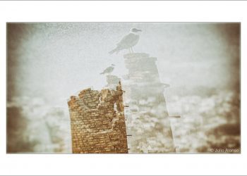 Salvemos la Panificadora