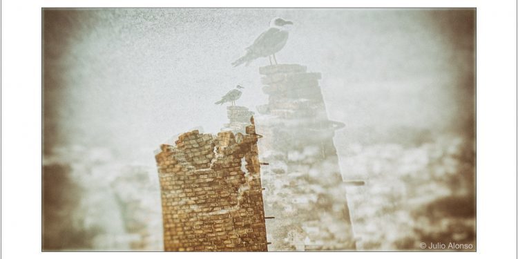 Salvemos la Panificadora