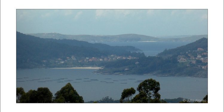 Rías Baixas desde O Freixo