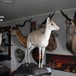 IMG_6328 FILEminimizer