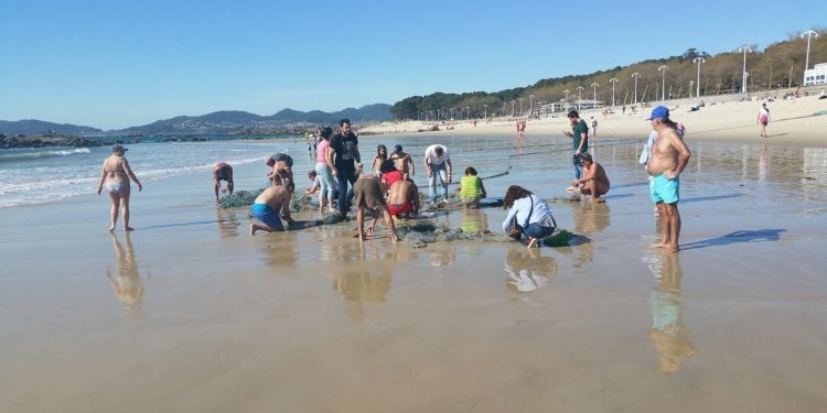 Aparece en la orilla de Samil un aparejo de pesca con decenas de centollas