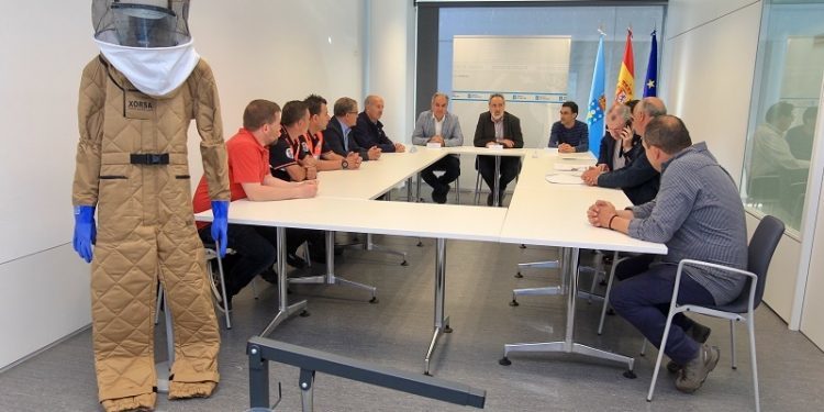 Material para continuar coa loita contra a vespa velutina no Rosal