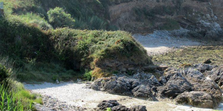 Modificada a ordenanza para habilitar praias de Vigo aptas para cans no verán