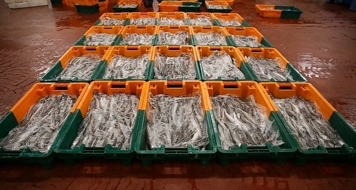 Opromar presenta en el Salón Gourmet su proteína marina de calidad