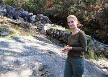 Descubertos novos petróglifos coa limpeza da maleza en Oia