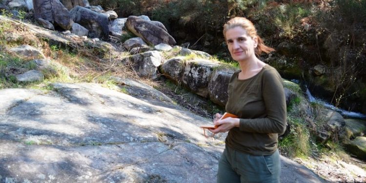 Descubertos novos petróglifos coa limpeza da maleza en Oia