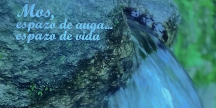 Mos espazo e auga