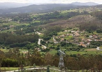 Finalizan os traballos de retirada dos máis de 300 eucaliptos en Soutomaior