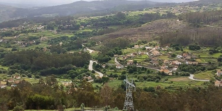 Finalizan os traballos de retirada dos máis de 300 eucaliptos en Soutomaior