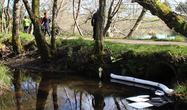 Rescatan a un hombre de avanzada edad que se cayó al río Lagares en Vigo