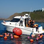 BATALLA DE RANDE 2017 5 AVITUALLAMIENTO