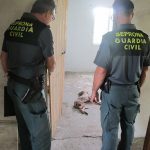 Maltrato animal Soutomaior 3