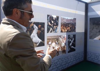 A forza da rapa das bestas de Sabucedo toma a Praza do Rei