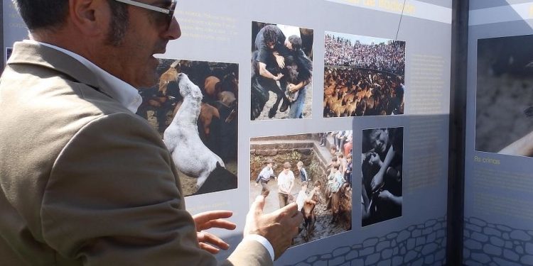 A forza da rapa das bestas de Sabucedo toma a Praza do Rei