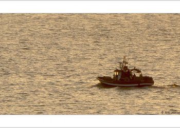 Un lugar para trabajar