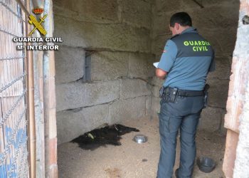 Localizada en Tui una vivienda con animales abandonados y maltratados