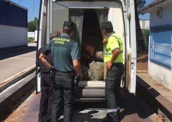 La Guardia Civil intercepta una furgoneta con cuatro toneladas de almeja en O Porriño