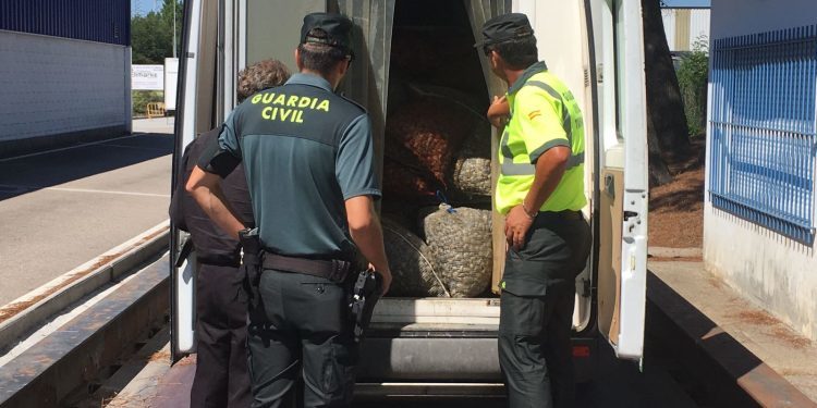 La Guardia Civil intercepta una furgoneta con cuatro toneladas de almeja en O Porriño
